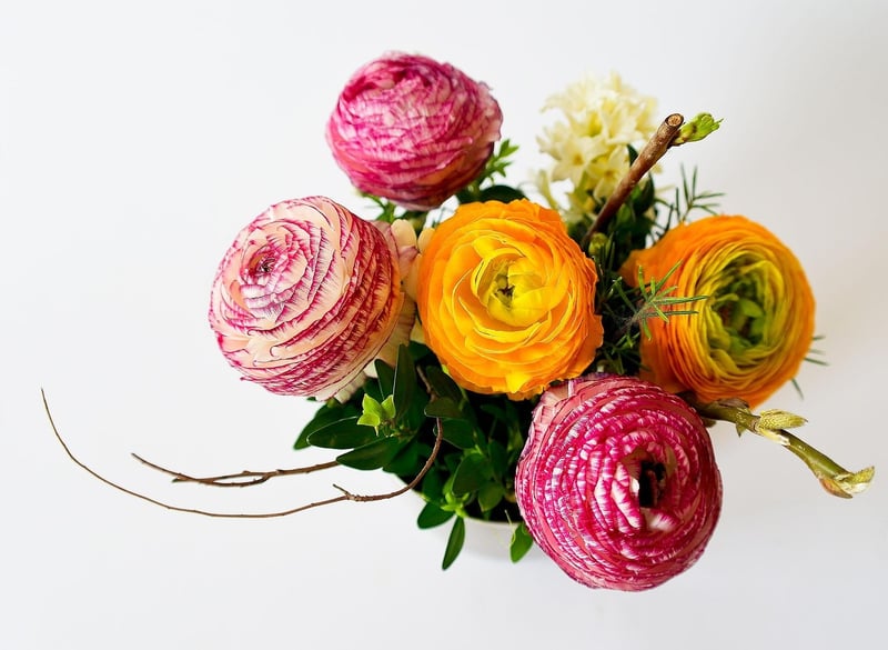 Mystical plant arrangements