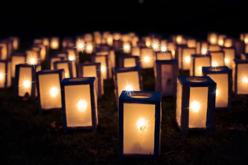 Fairy lights in a garden